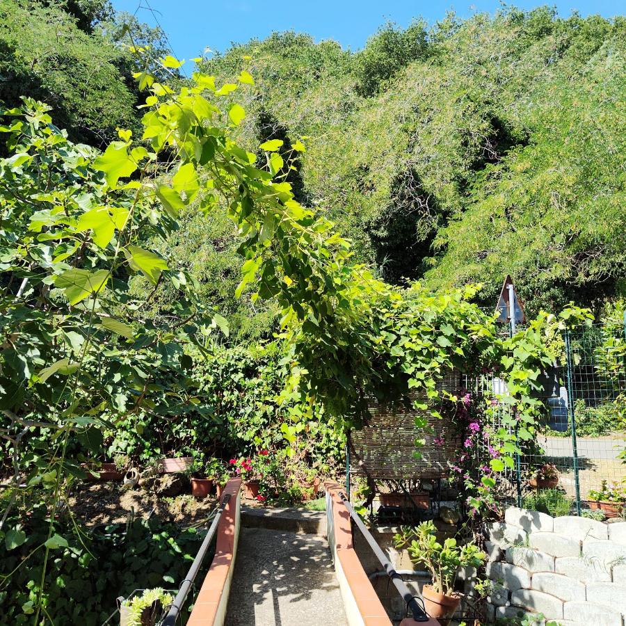Casa Giulia - B&B