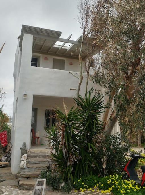 Kiter's paradise beach house - B&B Pounta