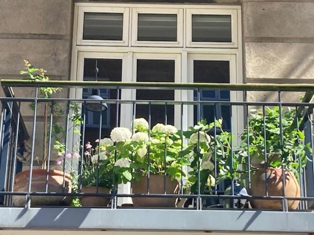 Cosy apartment Christianshavn - B&B