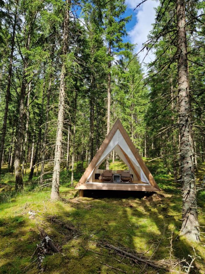 Happie Camp - Ängasjö - B&B Burseryd