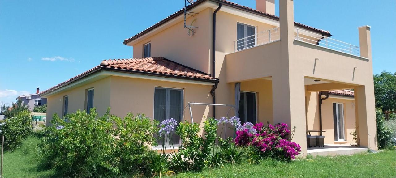 Vila Dubravka - schön und komfortabel inmitten von Olivenbäumen und Weinbergen mit Whirlpool - Ferienwohnung