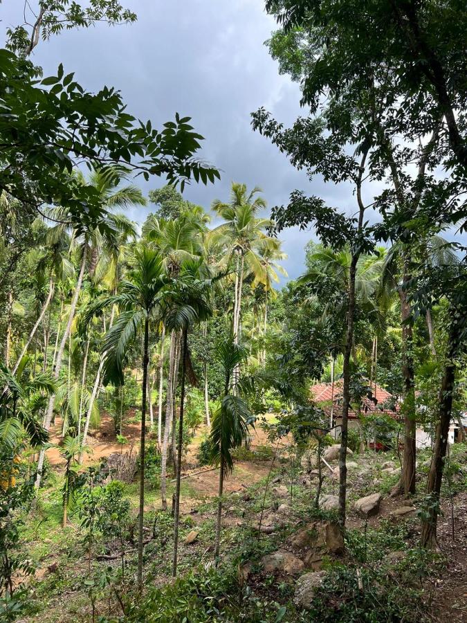 soha bungalow-escape the city - B&B Kurunegala