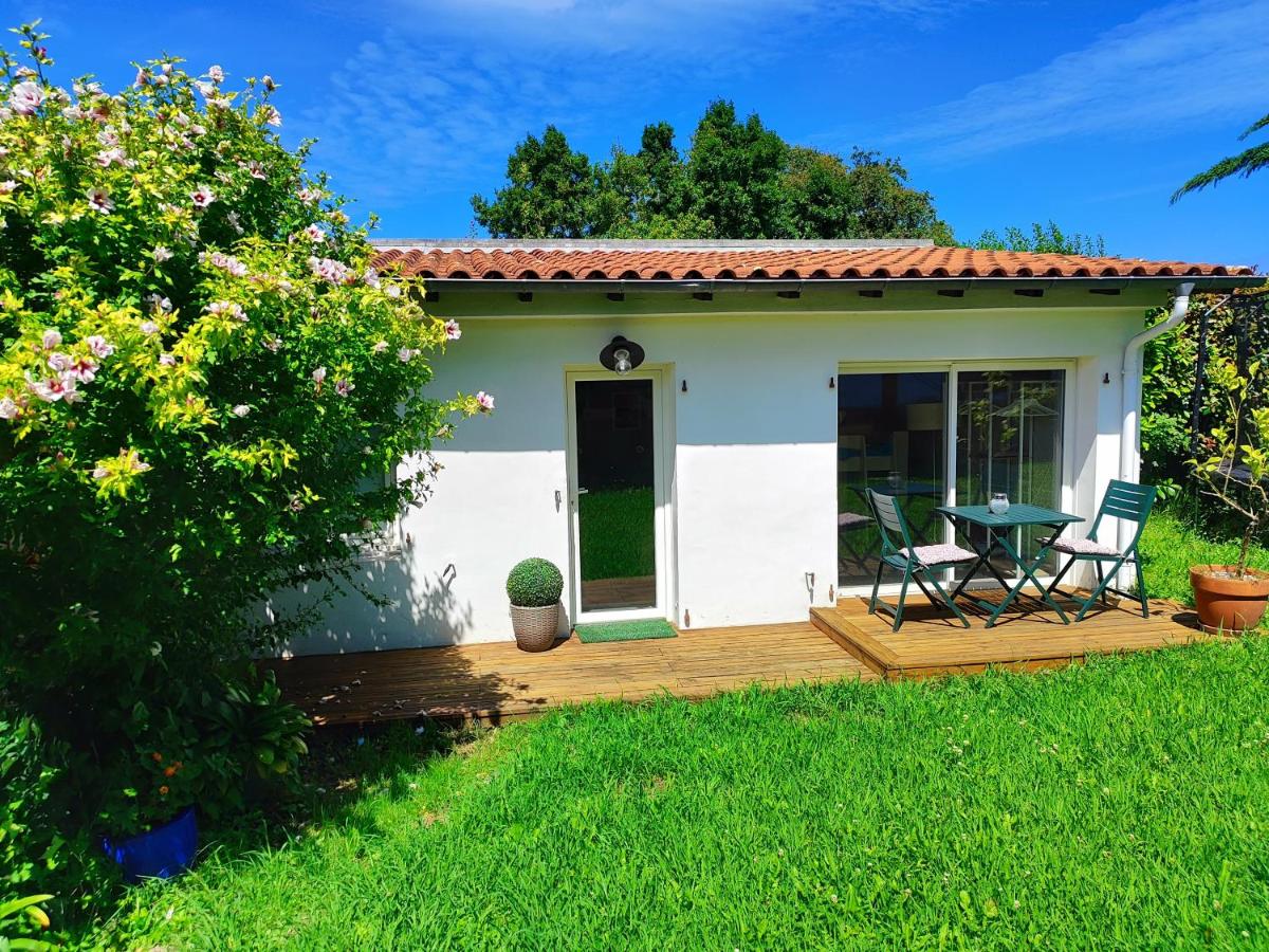 Estudio independiente - B&B