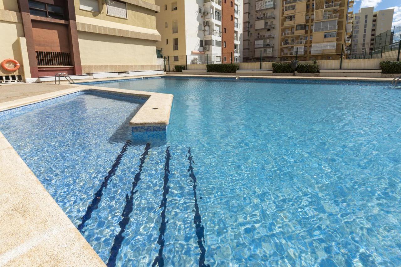 AG Albatros Premium - B&B