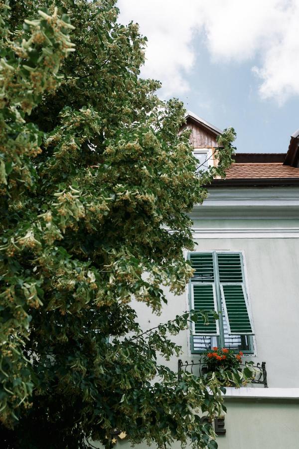 MOLDOs Haus - Chambres d'hôtes Sibiu