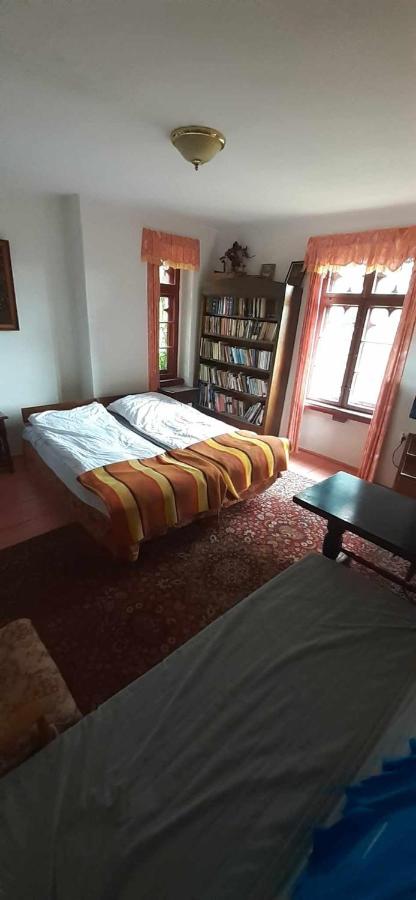 Standard Twin Room with Mountain View