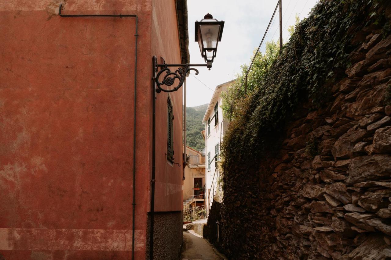 Il Castagno holiday home - Chambres d’hôtes Teriasca