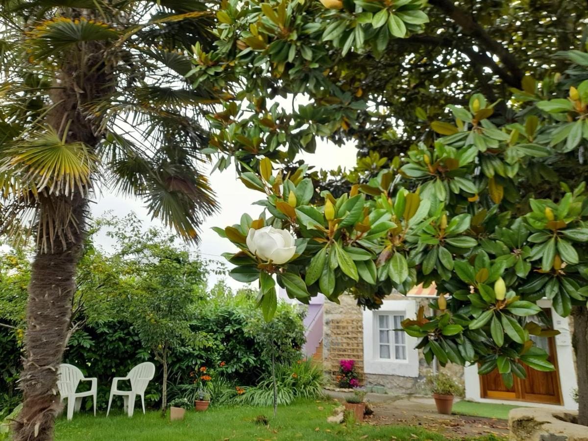 casamarietacantabria - B&B Reocín