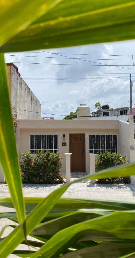 Acogedora y moderna Casa Coatí - B&B