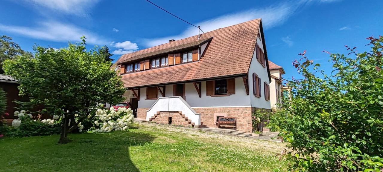 Appartement Lino - base idéale pour explorer l'Alsace, emplacement privilégié entre vignes et Vosges - B&B