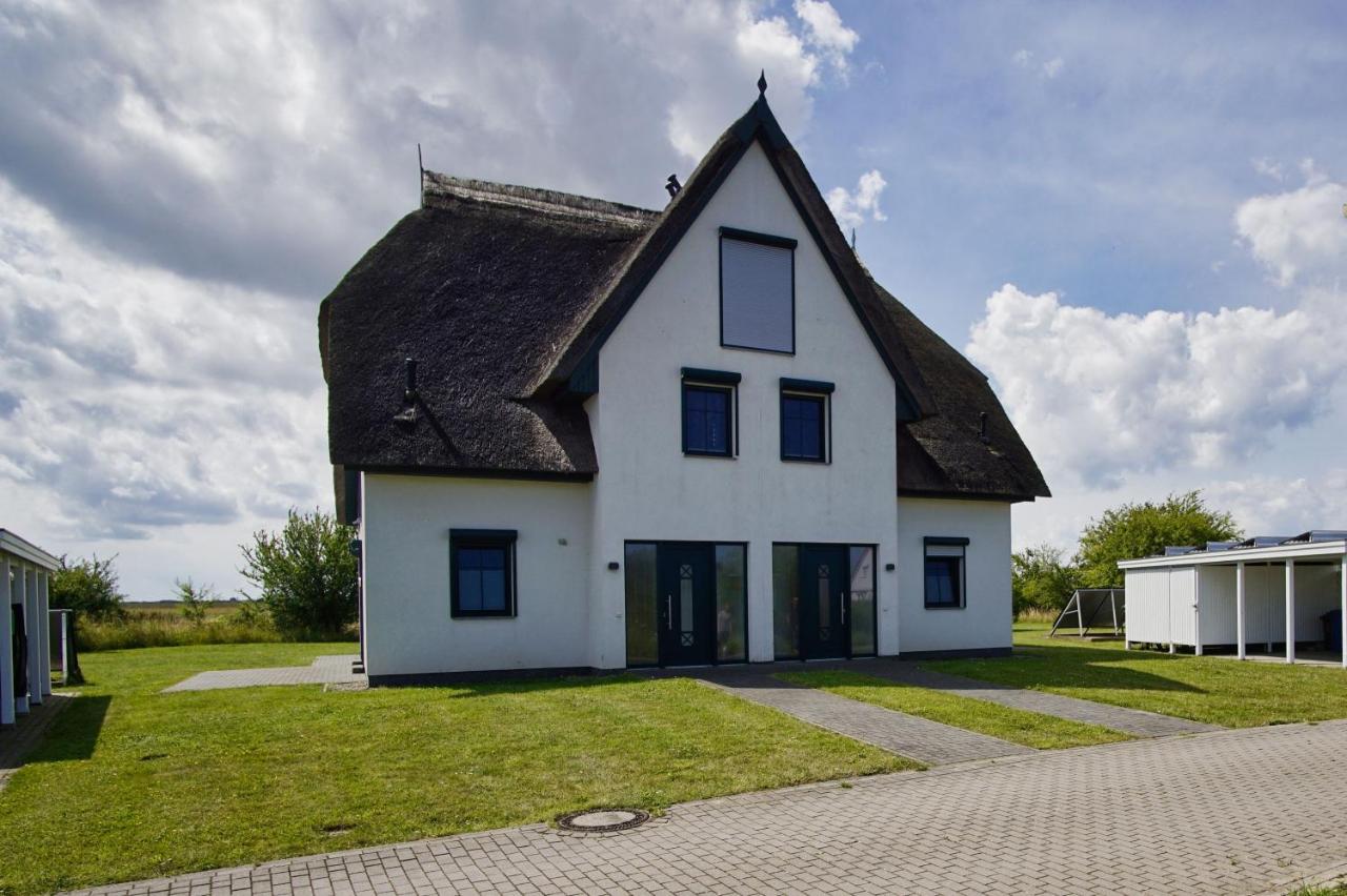 Villa Vogelblick Haushälfte 01 - B&B Vaschvitz