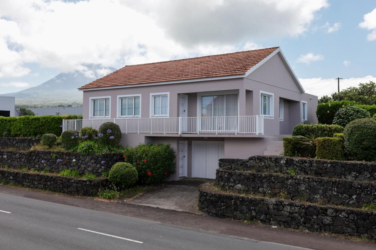 Alojamento Raízes da Montanha RRAL 4596 - B&B