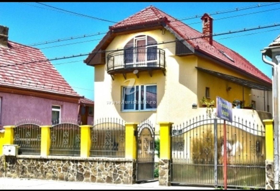 Vila Mirela - B&B