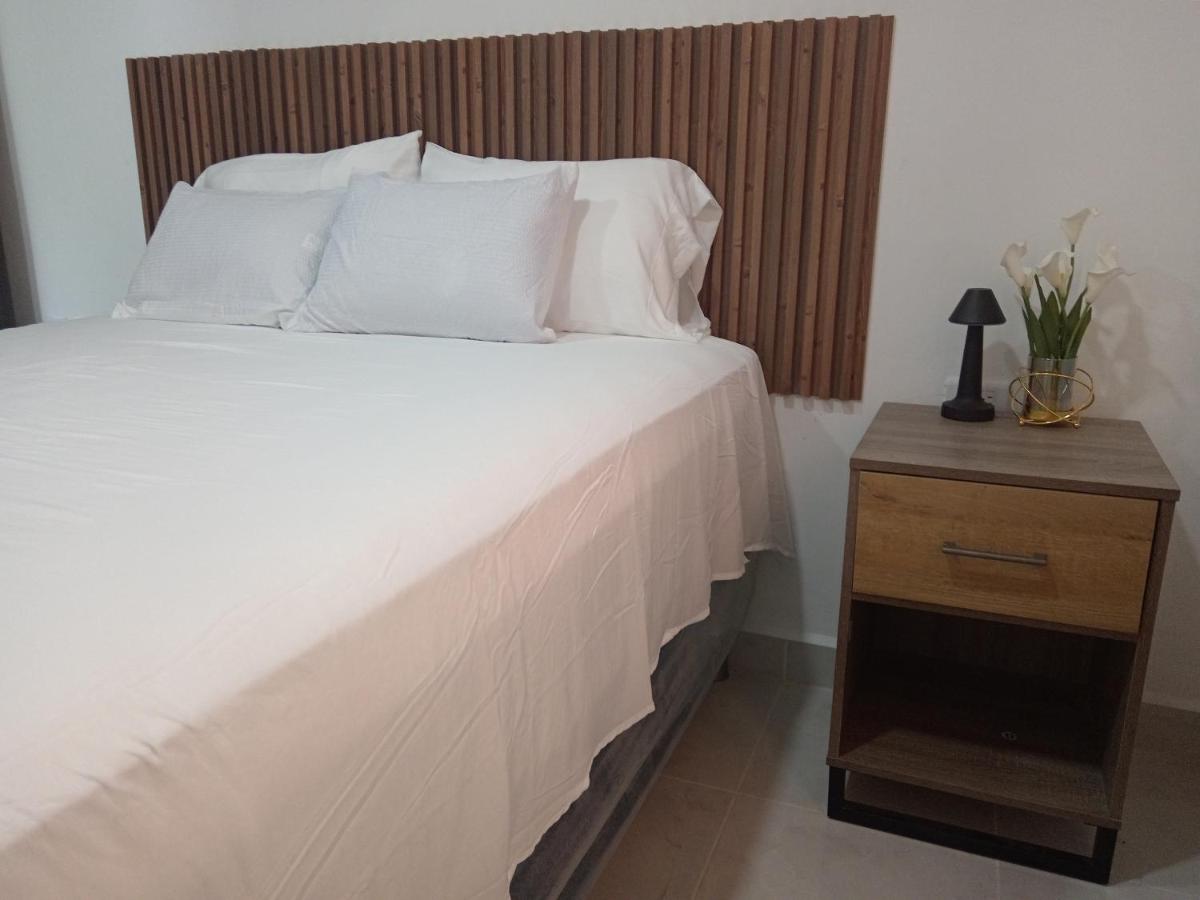 Appartement 1 Chambre
