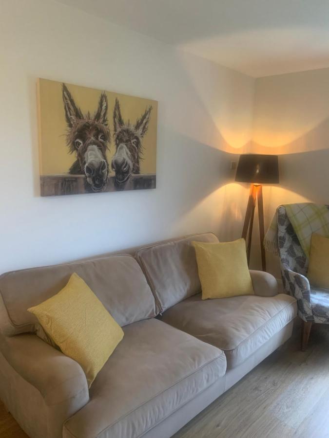 Ekerveley Lodge - B&B Ballyvoy