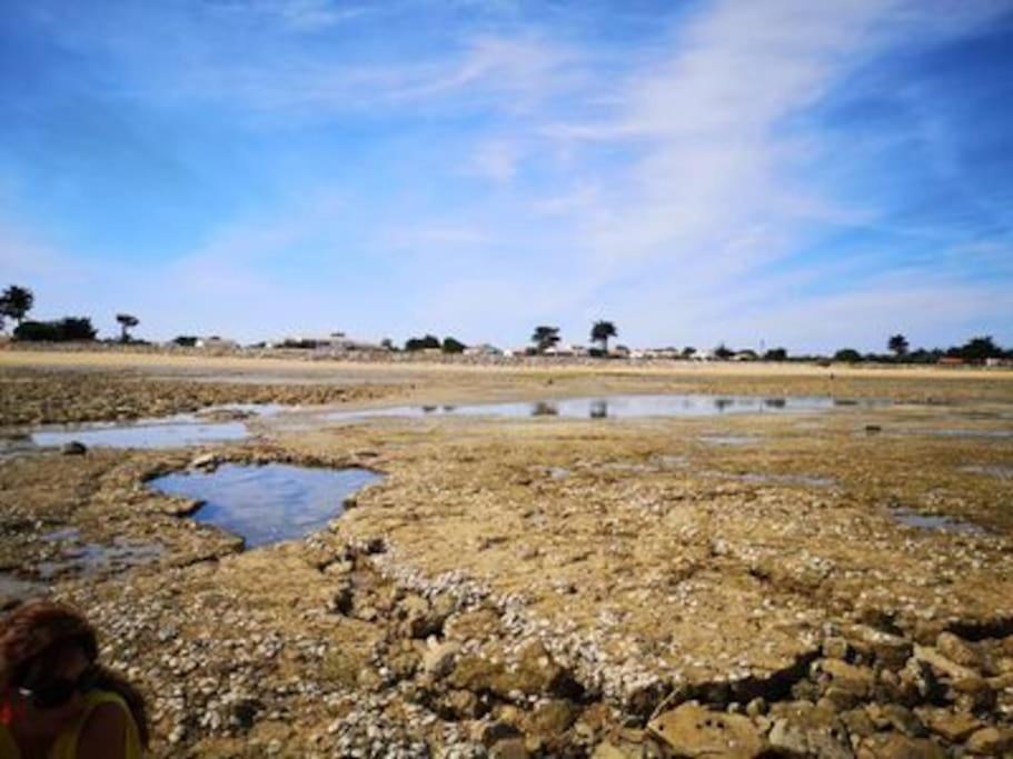 Maison de vacance proche de la plage - Chambres d’hôtes La Brée-les-Bains