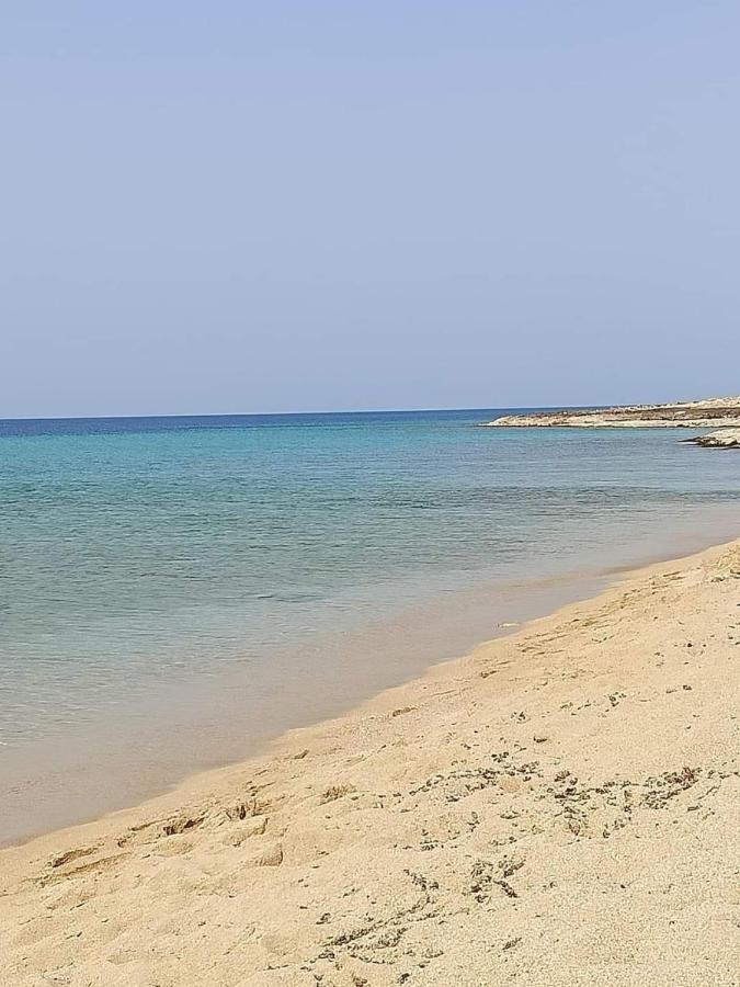 Villa "SARA" - B&B San Pietro in Bevagna