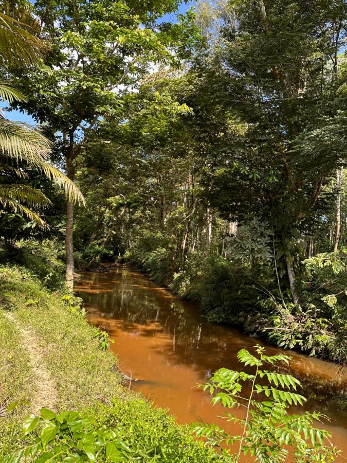 Reserva Îkü Amazonas - B&B