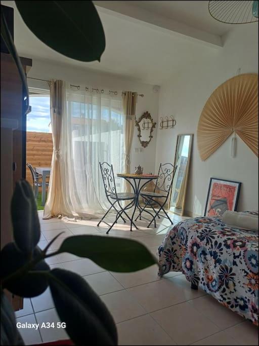 Studio mi casa es su casa - Ferienwohnung
