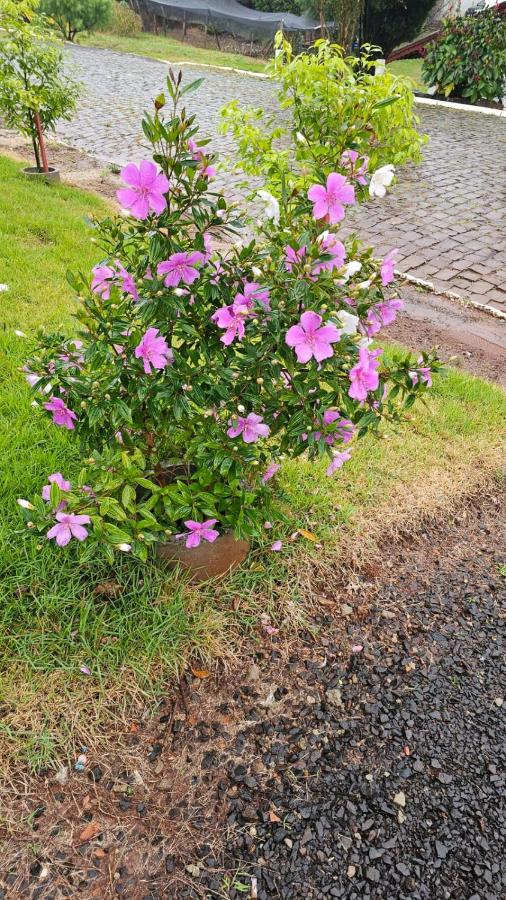 Studio Marangoni Hospedagem - B&B Treze Tílias