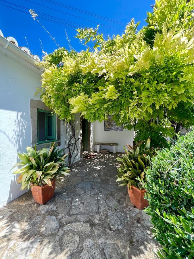 Casa Martim - Ferienwohnung Romão