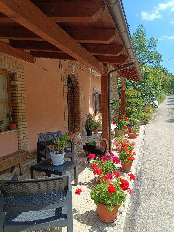 Casa contadina nel verde ai piedi della Majella - Agricasa Caprafico - Chambres d'hôtes Casoli