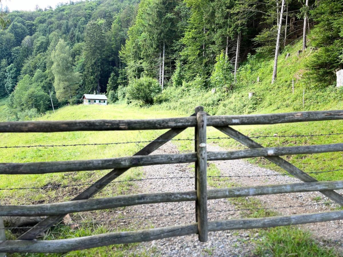 Siebenschläferhütte - Ferienwohnung Buchenberg