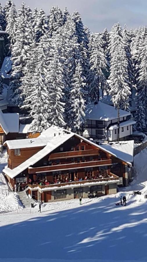 Pansion Vlašić Ski - B&B