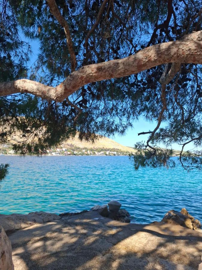 Apartmani Mlinar - One bedroom apartment with seaview - Chambres d’hôtes Grebaštica