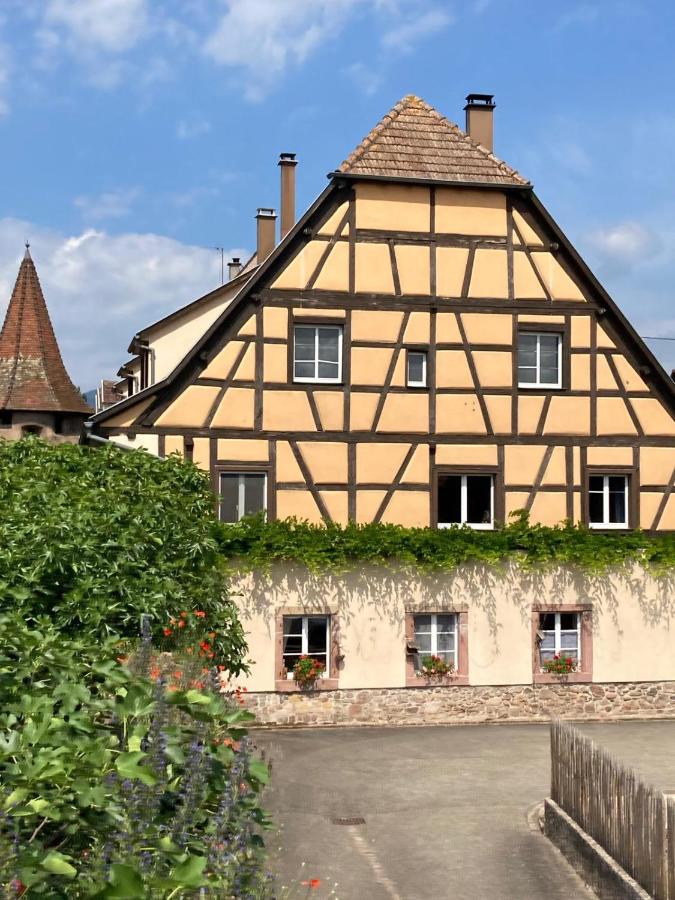 Gîte cosy 2 personnes en Alsace - B&B