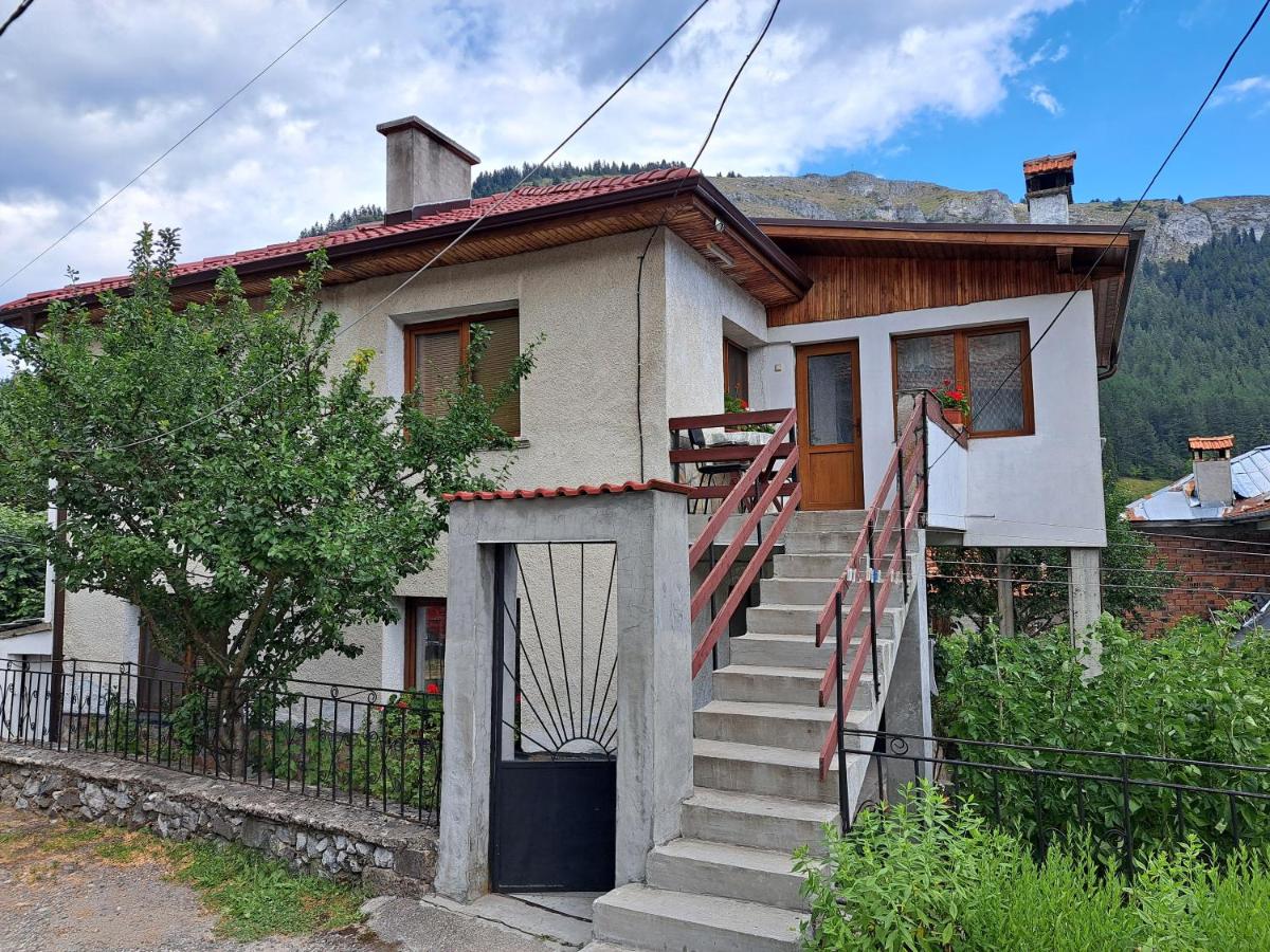 Guest house Denitsa - Ferienwohnung Trigrad