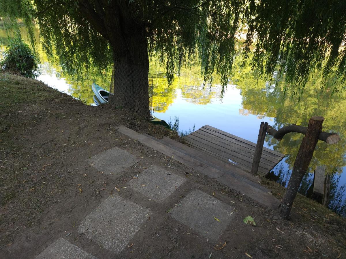 Apartment Kostanjevica na Krki - Bed and Breakfast