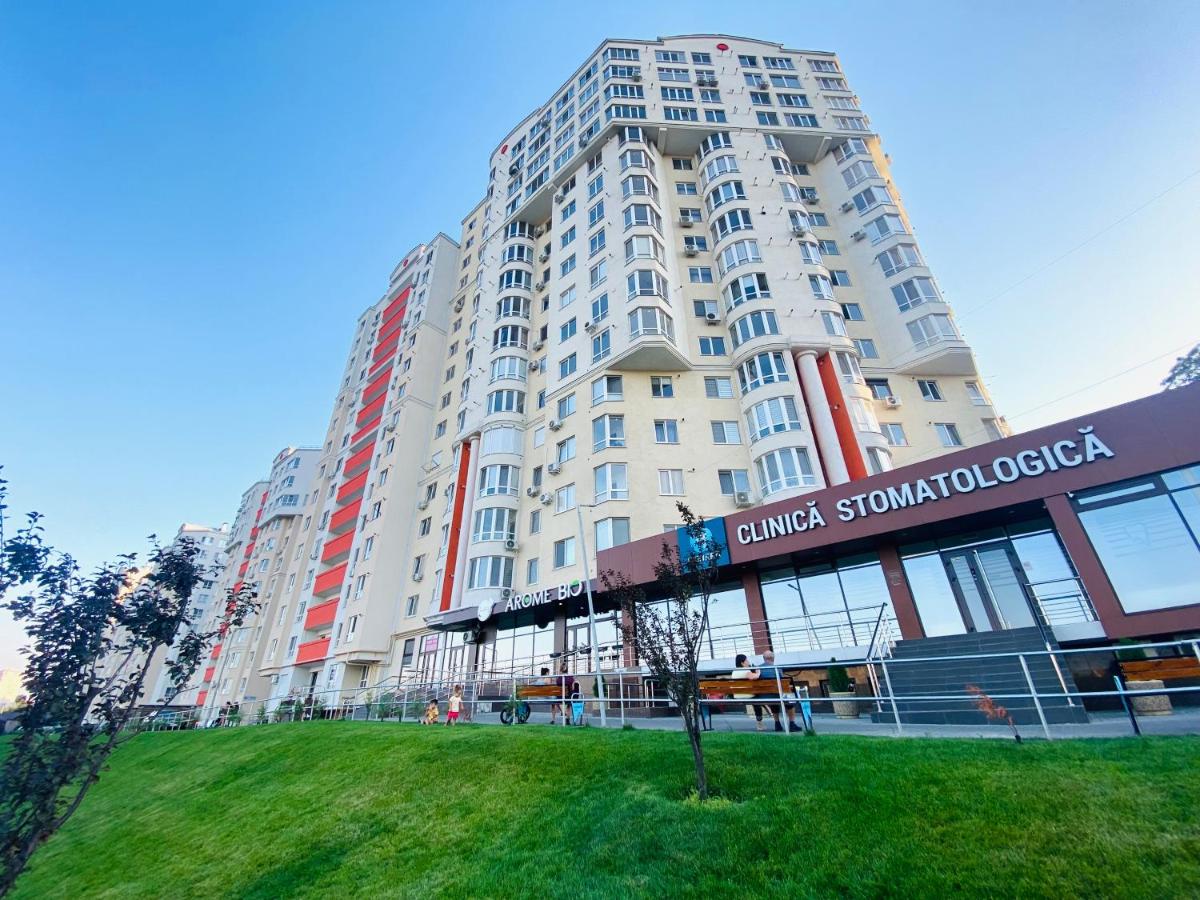Central Eco View Apartment - B&B
