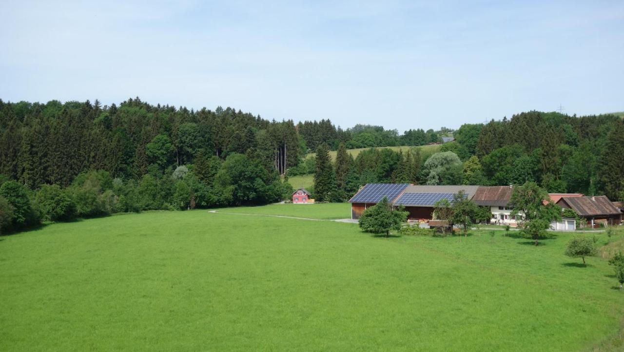 Erwins Ferien Paradies - Ferienwohnung Diezlings