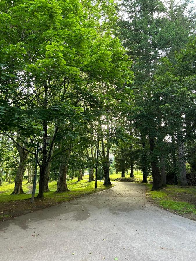 Château de Sérignac - B&B Malemort-sur-Corrèze