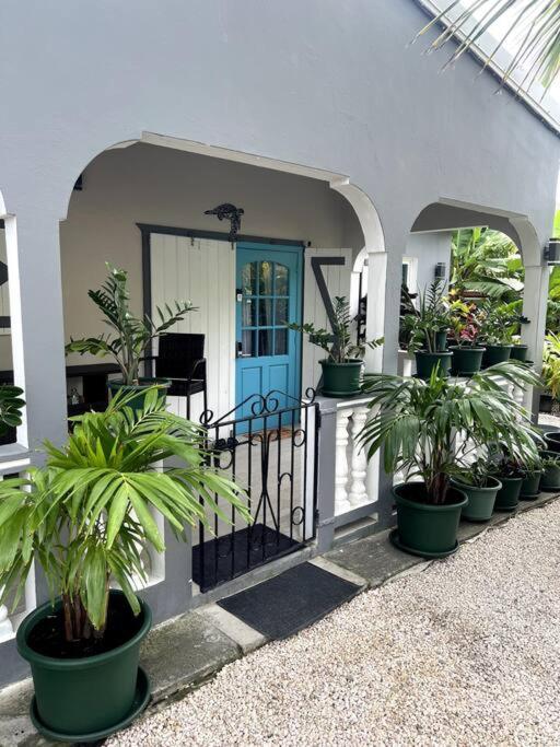 The Thinking Turtle - B&B Philipsburg