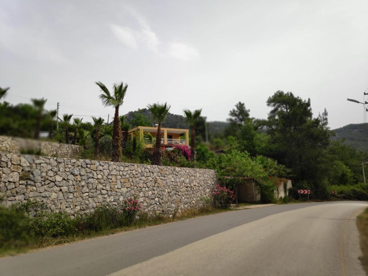 Çirali Sunny House - B&B