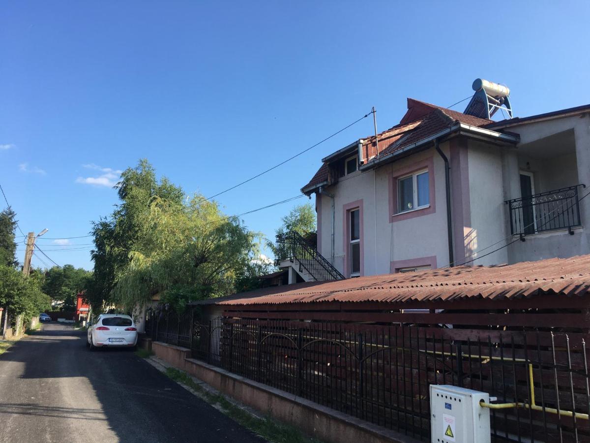 Casa cu Mesteceni Calimanesti - Chambres d’hôtes
