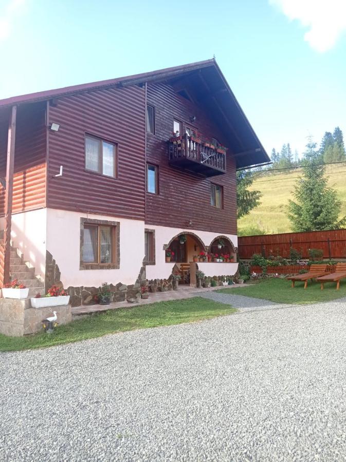 Casa ALINA ȘI ANDREEA - B&B