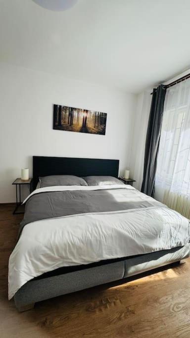 Appartamento con 2 Camere da Letto