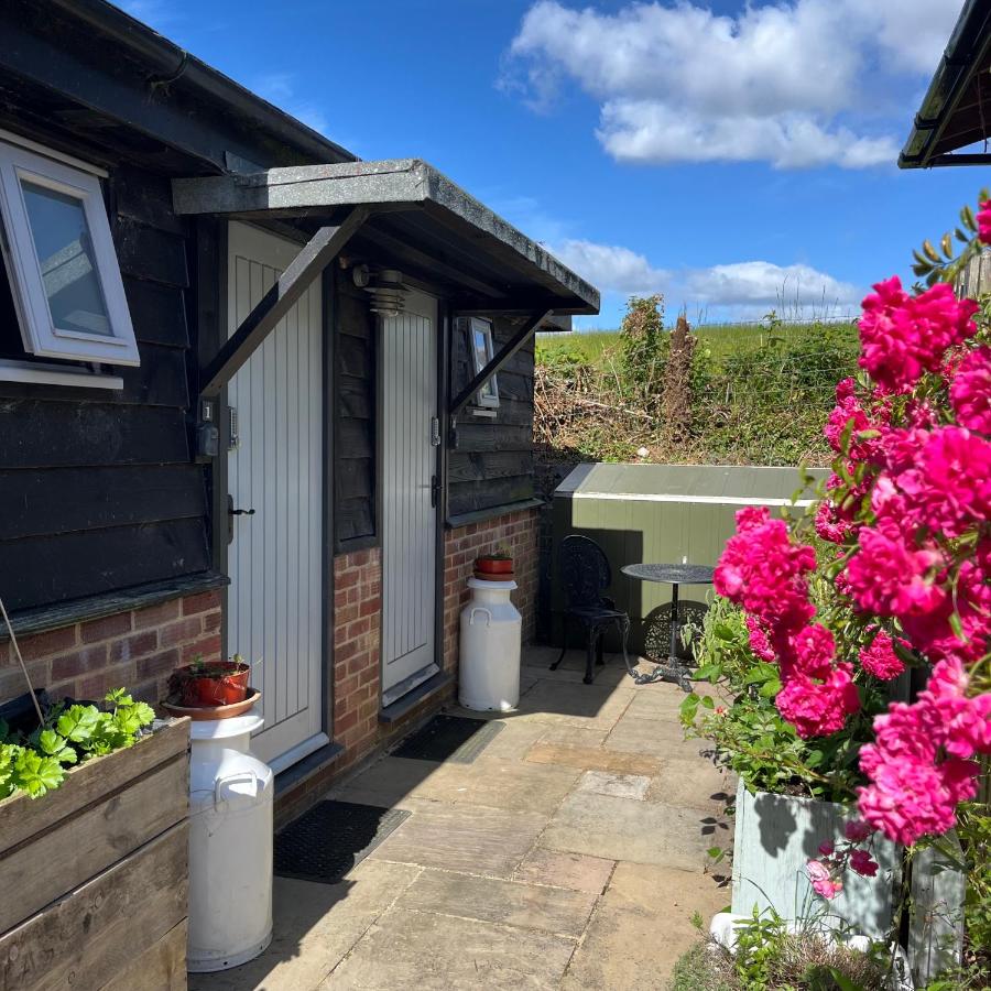 Bull Farm Studios - Bed and Breakfast