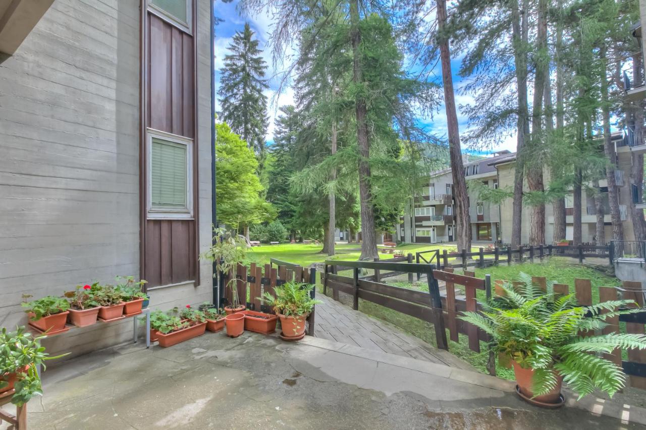 Comfort Tra Fiume E Pini - Happy Rentals - B&B Bardonecchia
