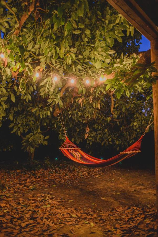 Irene's Treehouse - B&B