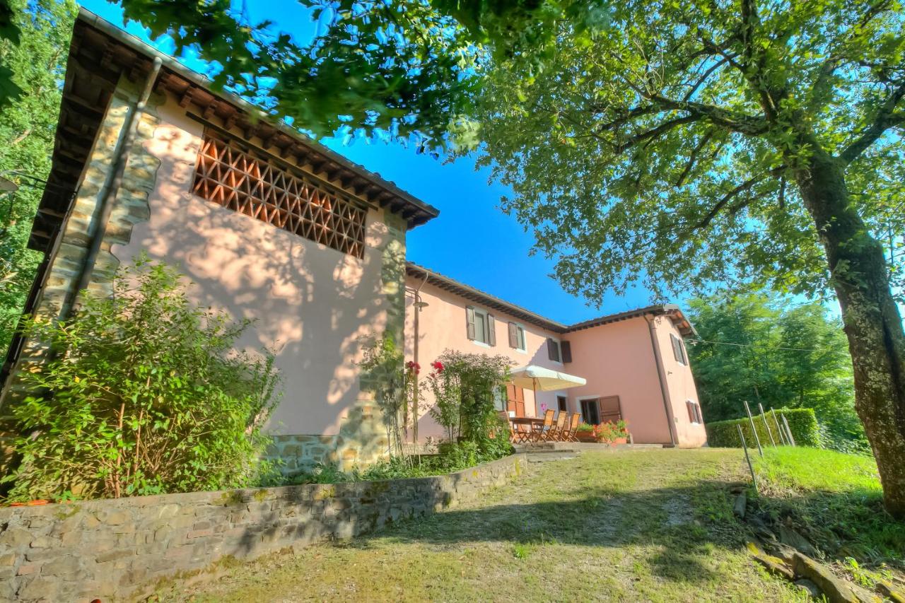 Comfortable Home Romeo Among Greenery - Happy Rentals - Ferienwohnung Borgo a Mozzano