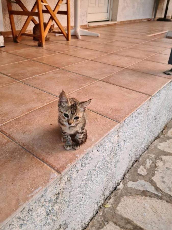 Greece - holidays & long stays - 2 Vilas - B&B
