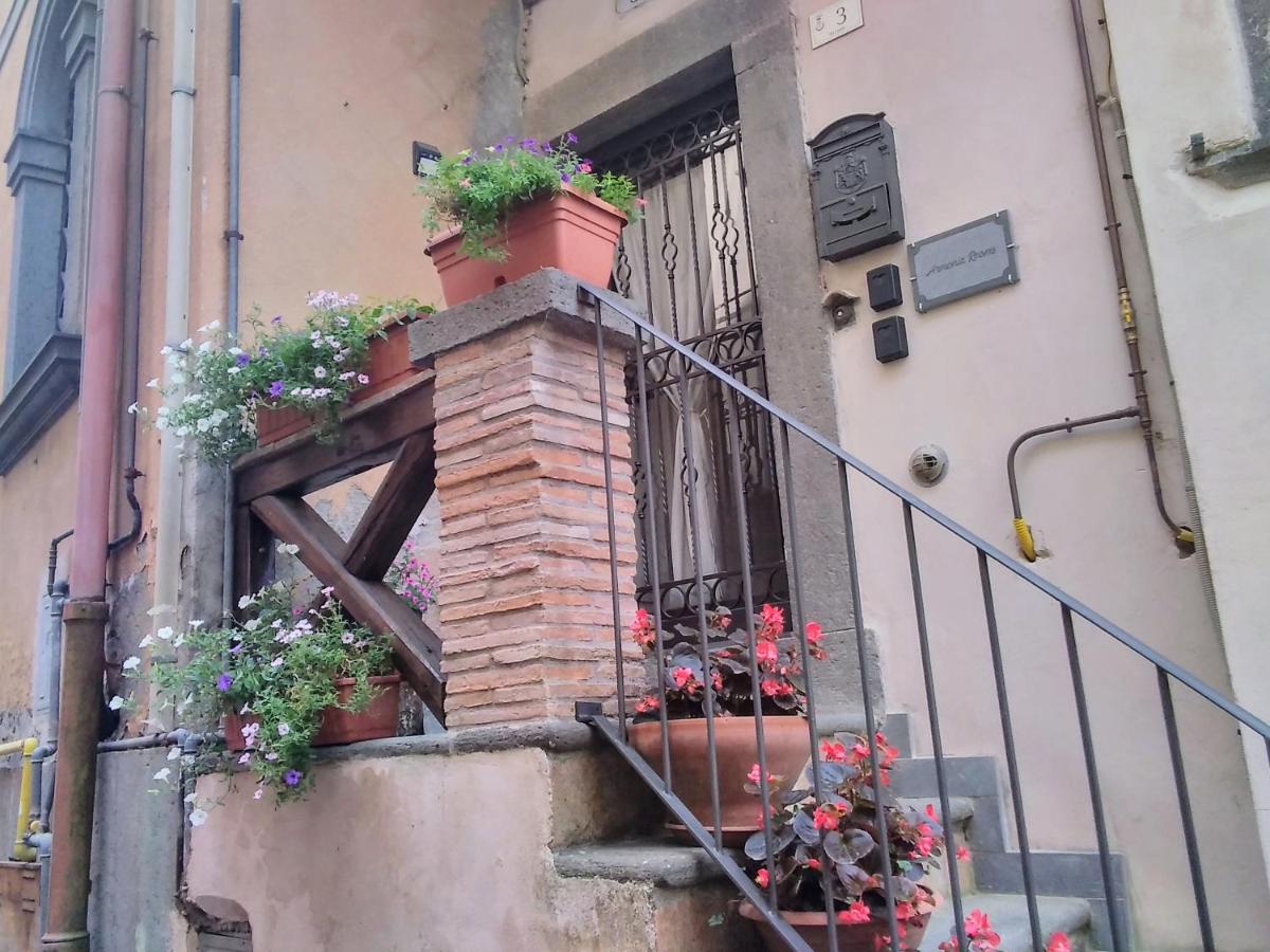 Alloggio Turistico Caria Mariano - Ferienwohnung Bagnoregio