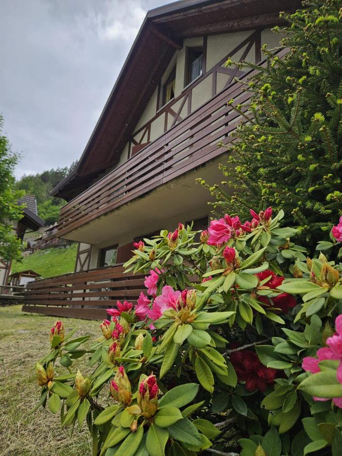 Il Rododendro - B&B Ponte di Legno