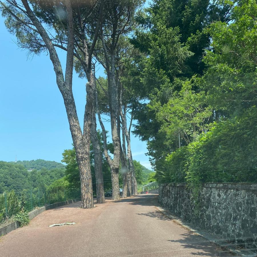 Le Foglie di Lubo - B&B