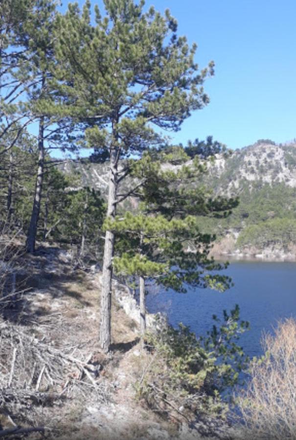 Planinska Zora - Chambres d’hôtes Bobova Ulica