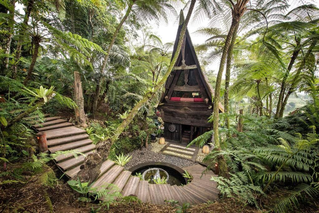 Batak Legacy, A Jungle Hideaway - B&B